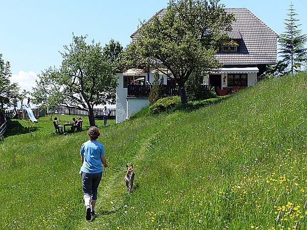 Foto:: Wanderung / Oberinn - Oberbozen - Oberinn / 28.05.2017 (Foto,Fotos,Bilder,Bild,)