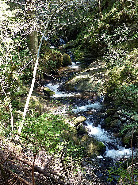Foto:: Wanderung / Oberinn - Oberbozen - Oberinn / 28.05.2017 (Foto,Fotos,Bilder,Bild,)