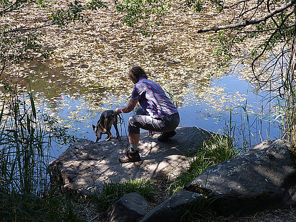Foto:: Wanderung / Wolfsgruben / 29.05.2017 (Foto,Fotos,Bilder,Bild,)