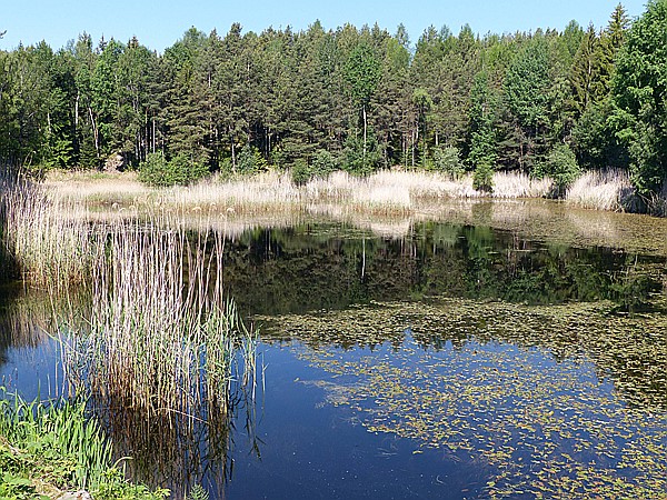 Foto:: Wanderung / Wolfsgruben / 29.05.2017 (Foto,Fotos,Bilder,Bild,)