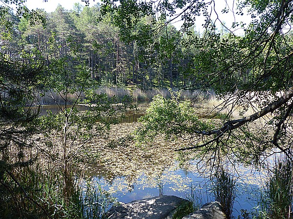 Foto:: Wanderung / Wolfsgruben / 29.05.2017 (Foto,Fotos,Bilder,Bild,)