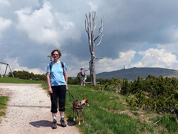Foto:: Wanderung / Ritten - Oberinn / 30.05.2017 (Foto,Fotos,Bilder,Bild,)