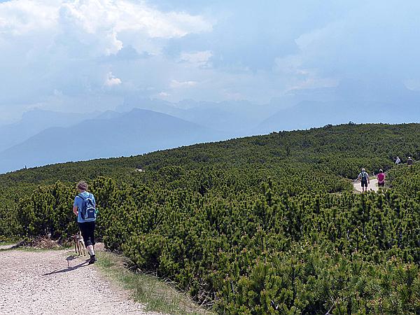 Foto:: Wanderung / Ritten - Oberinn / 30.05.2017 (Foto,Fotos,Bilder,Bild,)