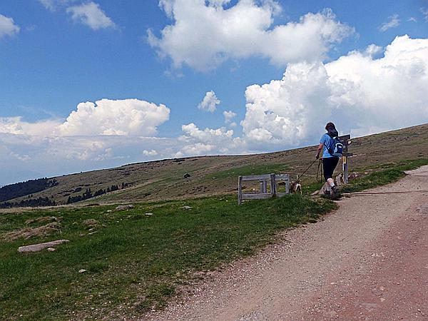 Foto:: Wanderung / Ritten - Oberinn / 30.05.2017 (Foto,Fotos,Bilder,Bild,)