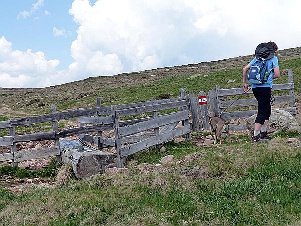 Foto:: Wanderung / Ritten - Oberinn / 30.05.2017 (Foto,Fotos,Bilder,Bild,)