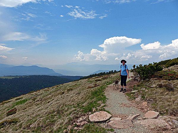 Foto:: Wanderung / Ritten - Oberinn / 30.05.2017 (Foto,Fotos,Bilder,Bild,)