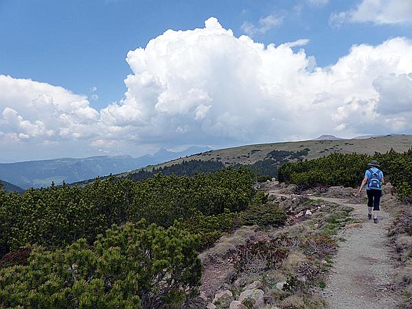 Foto:: Wanderung / Ritten - Oberinn / 30.05.2017 (Foto,Fotos,Bilder,Bild,)
