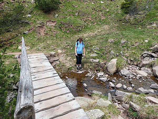Foto:: Wanderung / Ritten - Oberinn / 30.05.2017 (Foto,Fotos,Bilder,Bild,)