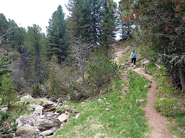 Foto:: Wanderung / Ritten - Oberinn / 30.05.2017 (Foto,Fotos,Bilder,Bild,)