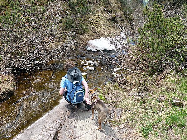 Foto:: Wanderung / Ritten - Oberinn / 30.05.2017 (Foto,Fotos,Bilder,Bild,)