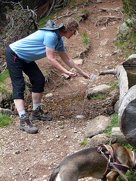 Foto:: Wanderung / Ritten - Oberinn / 30.05.2017 (Foto,Fotos,Bilder,Bild,)