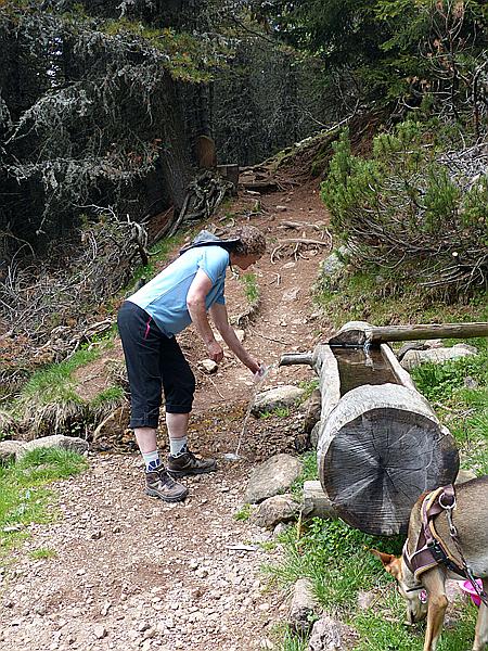 Foto:: Wanderung / Ritten - Oberinn / 30.05.2017 (Foto,Fotos,Bilder,Bild,)