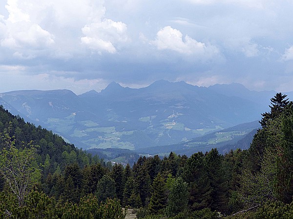 Foto:: Wanderung / Ritten - Oberinn / 30.05.2017 (Foto,Fotos,Bilder,Bild,)