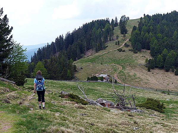 Foto:: Wanderung / Ritten - Oberinn / 30.05.2017 (Foto,Fotos,Bilder,Bild,)