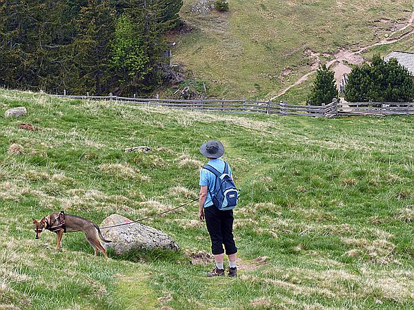 Foto:: Wanderung / Ritten - Oberinn / 30.05.2017 (Foto,Fotos,Bilder,Bild,)