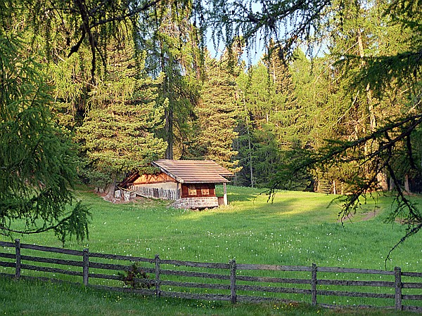 Foto:: Wanderung / Ritten - Oberinn / 30.05.2017 (Foto,Fotos,Bilder,Bild,)