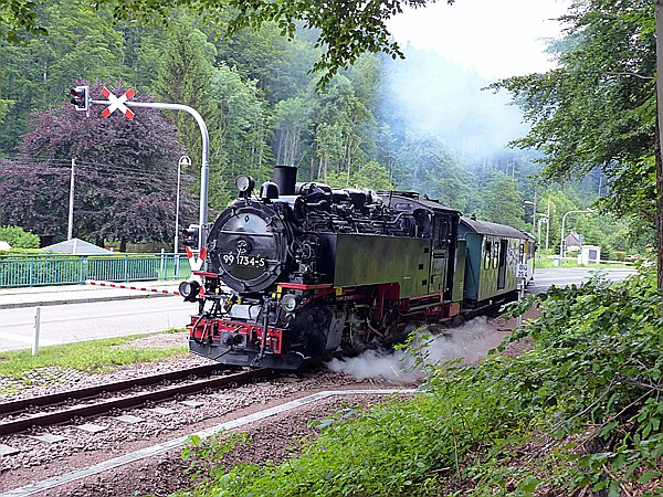 Foto:: DR 99 1734-5 / Kipsdorf / 15.07.2017 (Foto,Fotos,Bilder,Bild,)