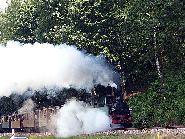 Foto:: DR 539 + DR 99 555 / Kipsdorf / 15.07.2017 (Foto,Fotos,Bilder,Bild,)