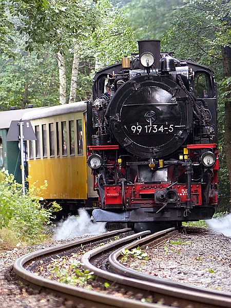 Foto:: DR 99 1734-5 / Seifersdorf / 15.07.2017 (Foto,Fotos,Bilder,Bild,)