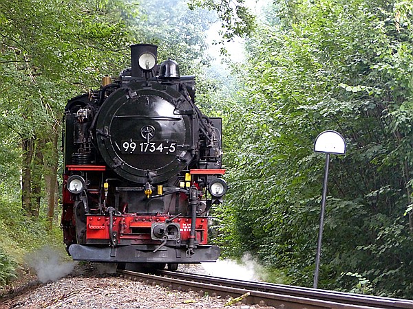 Foto:: DR 99 1734-5 / Seifersdorf / 15.07.2017 (Foto,Fotos,Bilder,Bild,)