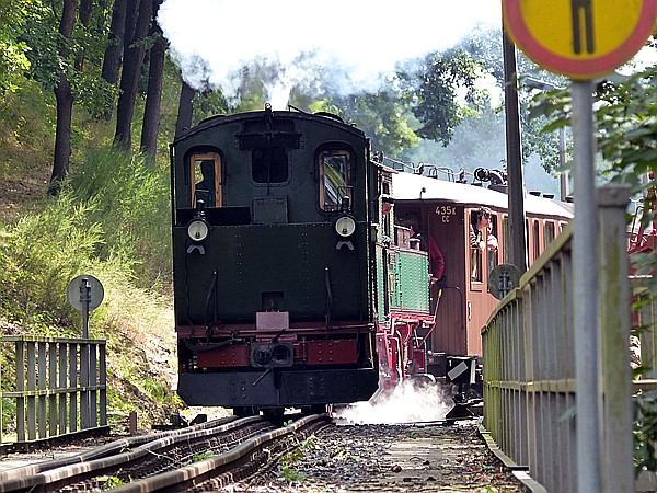 Foto:: DR 99 539 + DR 555 / Seifersdorf / 15.07.2017 (Foto,Fotos,Bilder,Bild,)