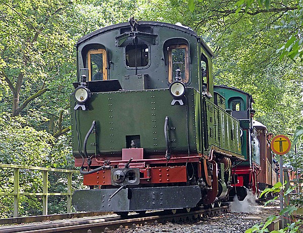 Foto:: DR 99 539 + DR 555 / Seifersdorf / 15.07.2017 (Foto,Fotos,Bilder,Bild,)