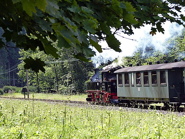 Foto:: DR 99 1542-2 /Schloessel / 16.07.2017 (Foto,Fotos,Bilder,Bild,)