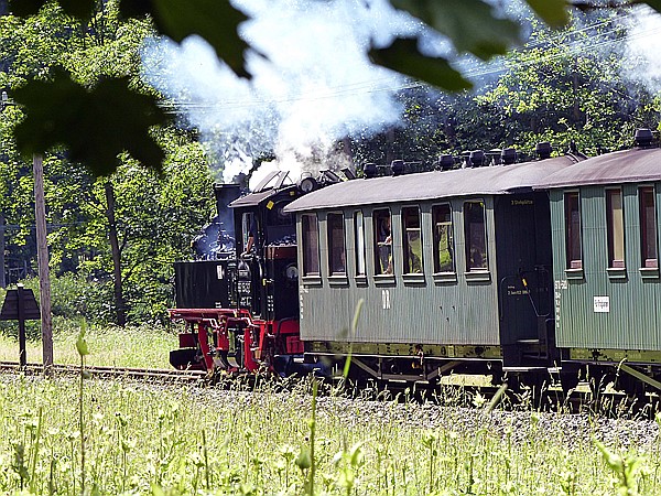 Foto:: DR 99 1542-2 /Schloessel / 16.07.2017 (Foto,Fotos,Bilder,Bild,)