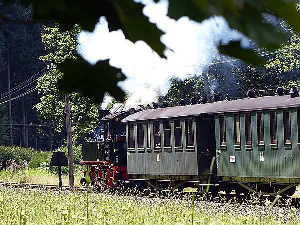Foto:: DR 99 1542-2 /Schloessel / 16.07.2017 (Foto,Fotos,Bilder,Bild,)