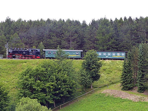 Foto:: DR 99 1773-3 / Oberwiesenthal / 16.07.2017 (Foto,Fotos,Bilder,Bild,)