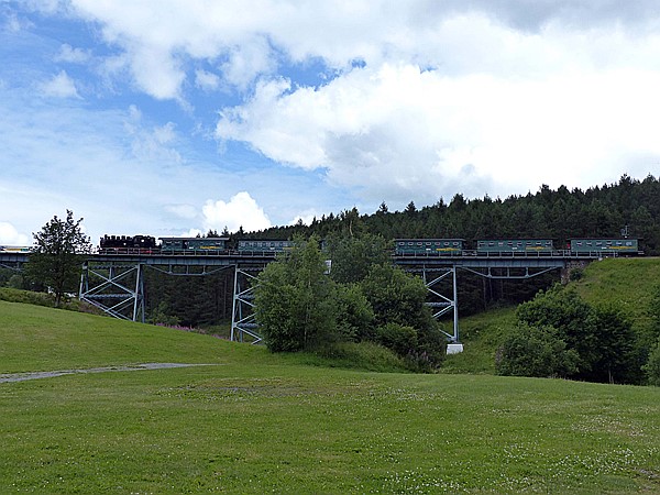 Foto:: DR 99 1773-3 / Oberwiesenthal / 16.07.2017 (Foto,Fotos,Bilder,Bild,)
