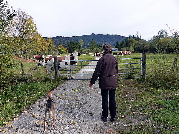 Foto:: Wanderung / Kruen - Wallgau  / 04.10.2017 (Foto,Fotos,Bilder,Bild,)