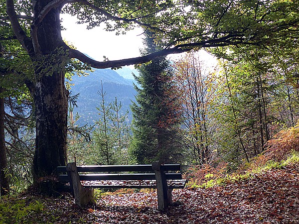 Foto:: Wanderung / Kruen - Wallgau  / 04.10.2017 (Foto,Fotos,Bilder,Bild,)