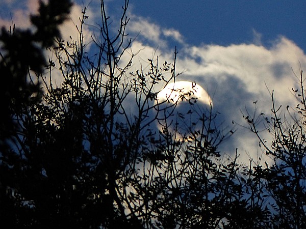 Foto:: Mond / Kruen / 06.10.2017 (Foto,Fotos,Bilder,Bild,)