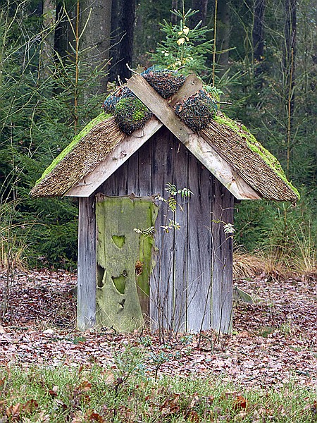 Foto:: Wanderung / Schneverdingen / 03.11.2017 (Foto,Fotos,Bilder,Bild,)