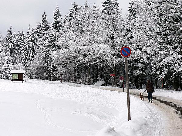 Foto:: Rundgang / Mitterfirmiansreut / 03.12.2017 (Foto,Fotos,Bilder,Bild,)