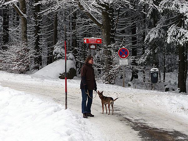 Foto:: Rundgang / Mitterfirmiansreut / 03.12.2017 (Foto,Fotos,Bilder,Bild,)