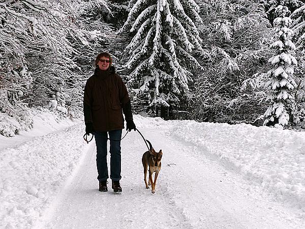 Foto:: Rundgang / Mitterfirmiansreut / 03.12.2017 (Foto,Fotos,Bilder,Bild,)
