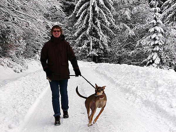 Foto:: Rundgang / Mitterfirmiansreut / 03.12.2017 (Foto,Fotos,Bilder,Bild,)