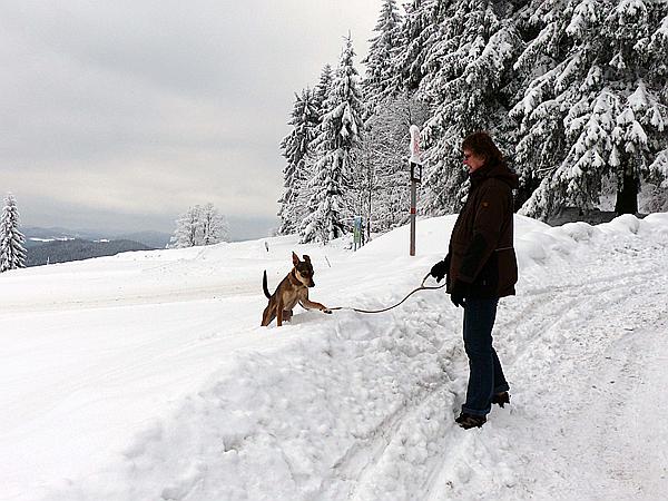 Foto:: Rundgang / Mitterfirmiansreut / 03.12.2017 (Foto,Fotos,Bilder,Bild,)