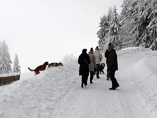 Foto:: Rundgang / Mitterfirmiansreut / 04.12.2017 (Foto,Fotos,Bilder,Bild,)