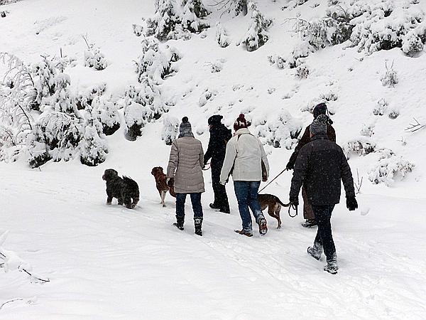 Foto:: Rundgang / Mitterfirmiansreut / 04.12.2017 (Foto,Fotos,Bilder,Bild,)