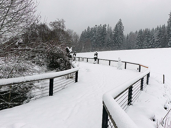 Foto:: Tierfreigehege Ludwigsthal / Lindberg / 05.12.2017 (Foto,Fotos,Bilder,Bild,)