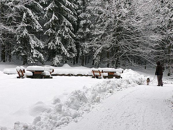Foto:: Tierfreigehege Ludwigsthal / Lindberg / 05.12.2017 (Foto,Fotos,Bilder,Bild,)