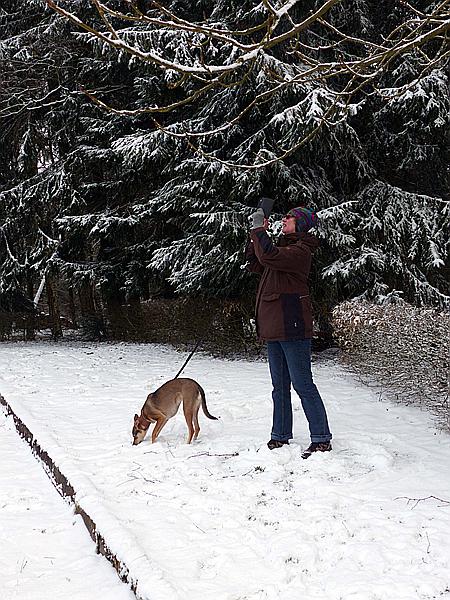 Foto:: Josephskreuz / Auerberg / 04.02.2018 (Foto,Fotos,Bilder,Bild,)