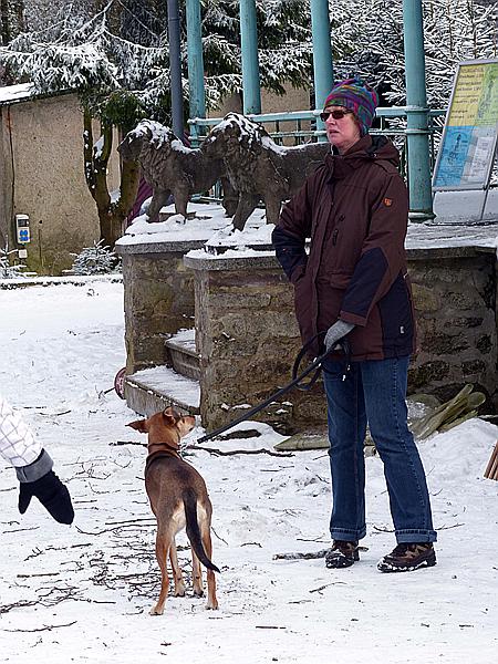Foto:: Josephskreuz / Auerberg / 04.02.2018 (Foto,Fotos,Bilder,Bild,)