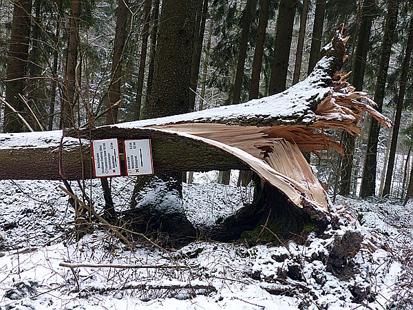 Foto:: Wanderung / Stolberg - Strassberg / 05.02.2018 (Foto,Fotos,Bilder,Bild,)