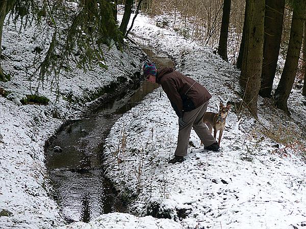 Foto:: Wanderung / Stolberg - Strassberg / 05.02.2018 (Foto,Fotos,Bilder,Bild,)