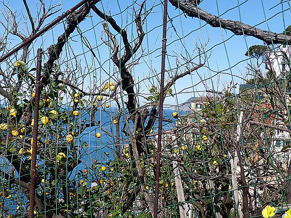 Foto:: Rundgang / Riomaggiore / 14.04.2018 (Foto,Fotos,Bilder,Bild,)