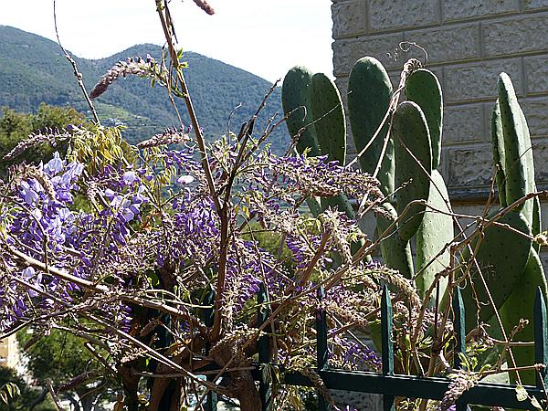 Foto:: Wanderung / Menterosso - Levanto / 14.04.2018 (Foto,Fotos,Bilder,Bild,)
